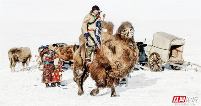 跟着网友游内蒙古丨雪线之上，生活如歌