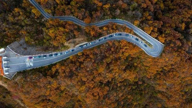 免门票福利！白云山绝美秋色正在上映→