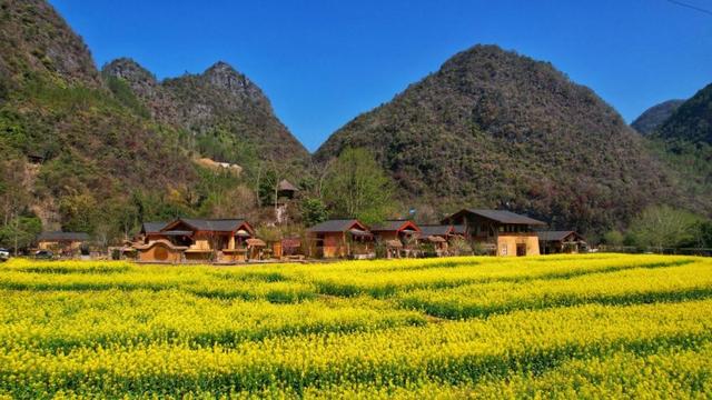 不只是一场演出：在广西深山，我活进了白裤瑶的24小时