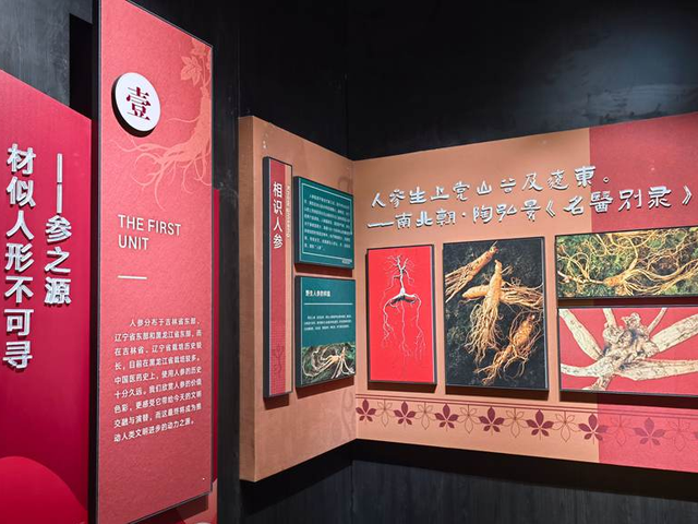 乘着高铁游白山 | “百区百景”打卡攻略之中国人参博物馆