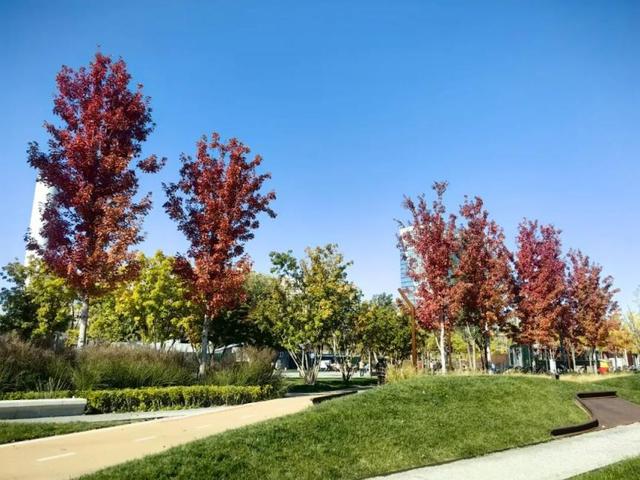 “这条铁轨，串起了历史、生活与未来！”你来过吗？