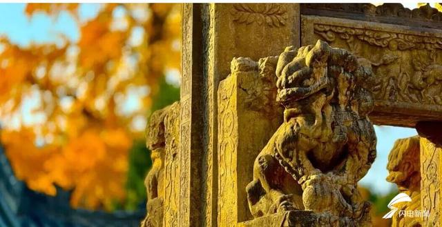 组图丨岱庙初冬美如诗 银杏书写“暖冬情书”