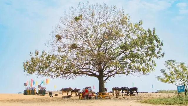 当朱迪尼克来到江西～原来这里也是疯狂动物城！