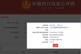 冯仑因借款合同纠纷被“限高” 执行标的约345万元图片
