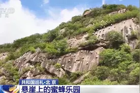 华北地区最大的蜜库如何炼成？“蜜”方藏在“蜂”景里图片