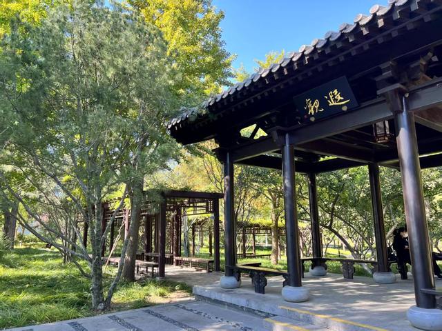 今日入伏，玉渊潭赏荷、观演、研学一站式解锁夏日清凉