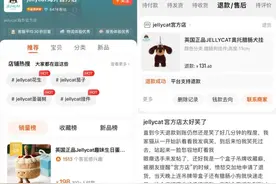 闪电评论丨重拳出击“李鬼”电商旗舰店刻不容缓图片