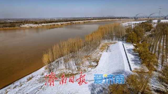 一年四季 泉在济南丨雪润黄河岸，济南冬日生态画卷徐徐铺展