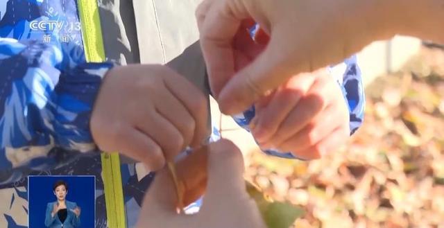 央视关注青岛：落叶“艺术变身”成公园景观和设施