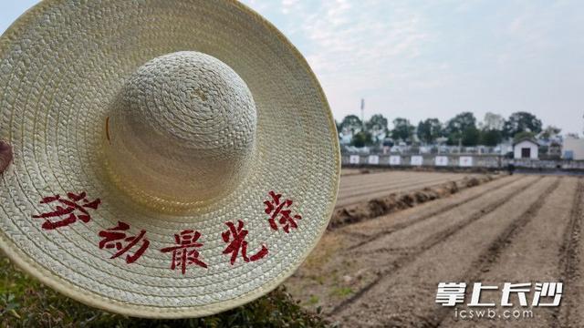 行游五溪解码“福”地第三届“名评名家湖湘汇”网络主题活动走进怀化