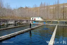 郧阳：冷水鱼“游”出致富路图片
