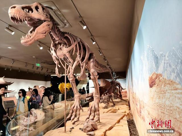 福州：巧克力博物馆吸引参观者