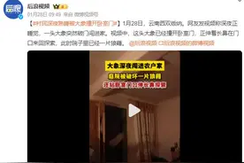 村民深夜熟睡被大象撞开卧室门：伸着长鼻在门口来回探索图片