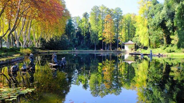 大降温后的秋日大片，来武汉植物园取景！这份小众胶片感机位请收好
