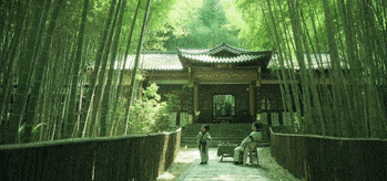 神奇北纬30°，蔡甸的N种打开方式太绝了！