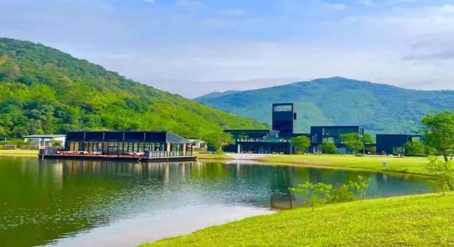 绿美竹乡！广宁打造粤港澳大湾区旅游康养目的地