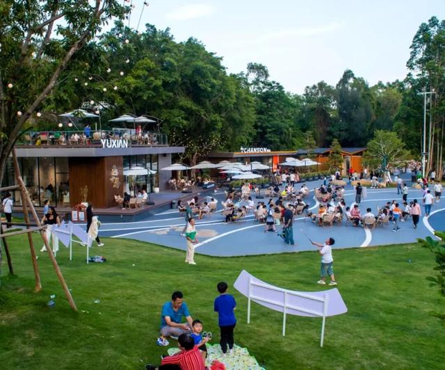 想撒野，来紫帽！