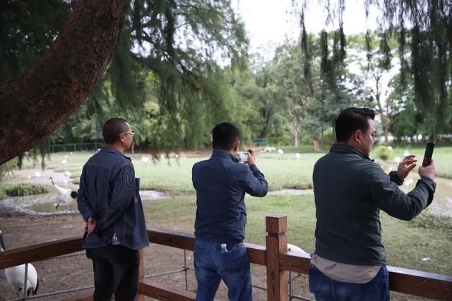 引客入肇！东莞旅行社组团走进星湖↘