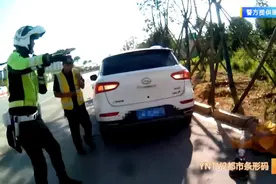 又是它！昆明一男子一年内7次被咬伤……图片