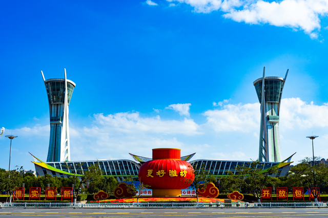 爱上潍坊丨从市树市花中研读潍坊