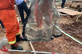 东莞消防2天抓3条蛇，气温升高注意有蛇出没图片