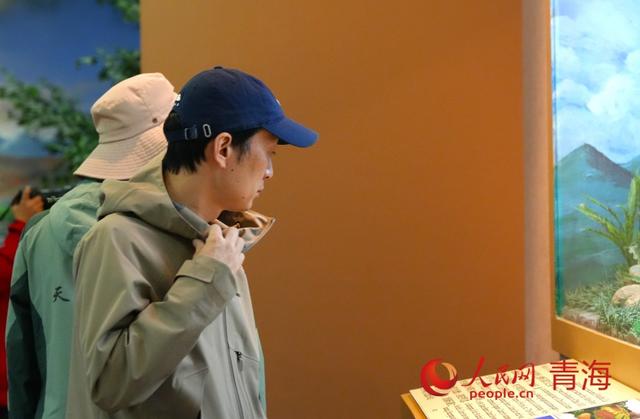 贵德丹霞灿若霞