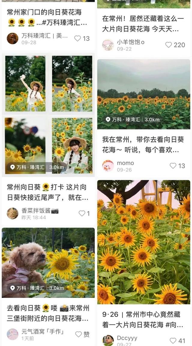常州，又开始涨“粉”了！