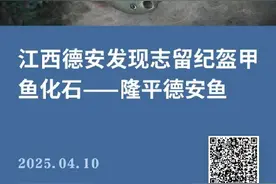 江西发现4.36亿年前隆平德安鱼图片