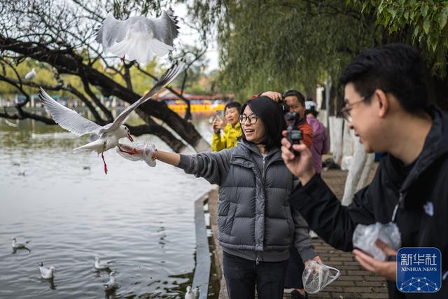昆明：初冬春城引游人