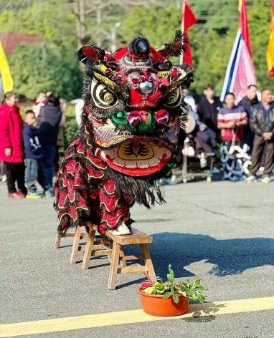 逛集、赏荷、徒步……来梯面玩转夏日~