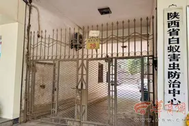 追踪|还有市民反映家中蚁患难根除  专家：厨蚁高发期 卫生是防范首要条件图片