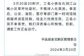 当地官方：掉化粪池身亡3小孩均系4岁左右图片