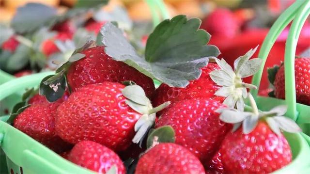 冬暖花开游云南丨红河，一场不期而遇的温暖邀约