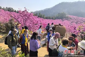 广东江门：绿美生态园进入赏花季图片