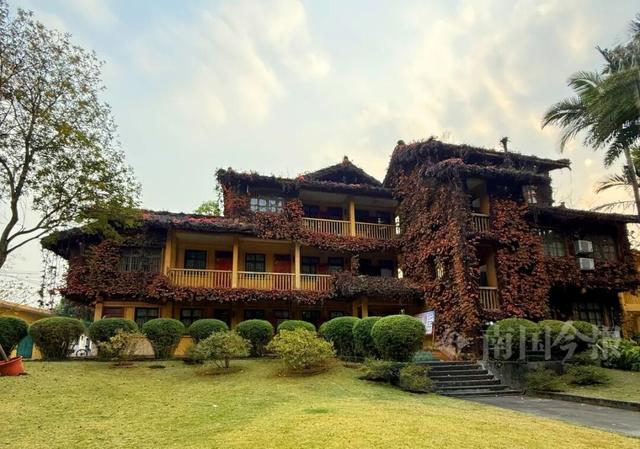 不一样了！柳州这个网红打卡点换上冬日限定“皮肤”，超出片！