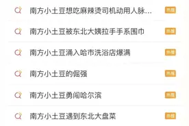 东北老铁为啥把“小土豆”宠上天？背后大有深意图片