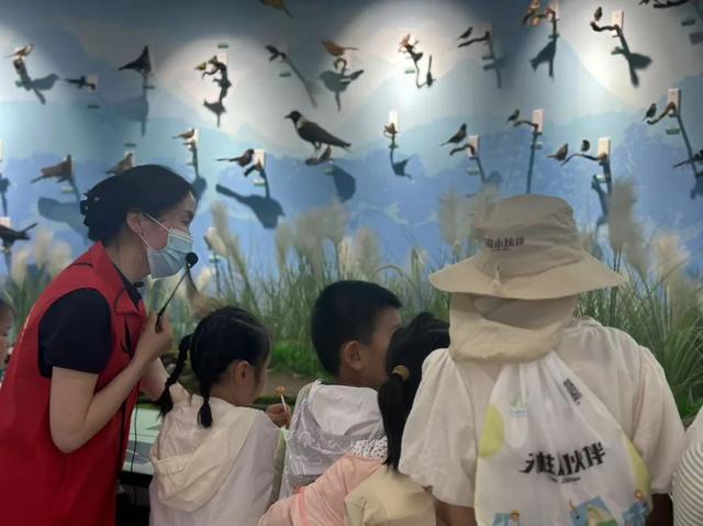 全国生态日 | 潜山15组亲子家庭探寻湿地生态奥秘