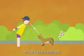 当狗对人类发起攻击时，如何处置最有效？一起来看→图片