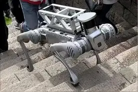 望岳谈｜这场见面会上的雄心：四家机器人企业VS四大机器人产业高地图片