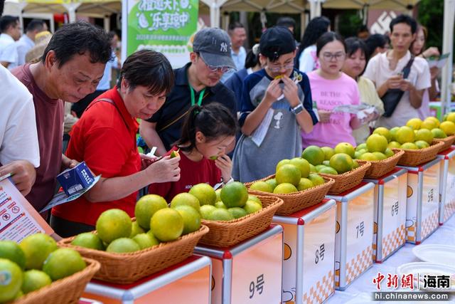 一颗绿橙串起“诗与远方” 琼中绿橙旅游季启动 (组图）