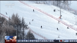 彩椒咖啡火“出圈” 崇礼这波宠粉操作爱了