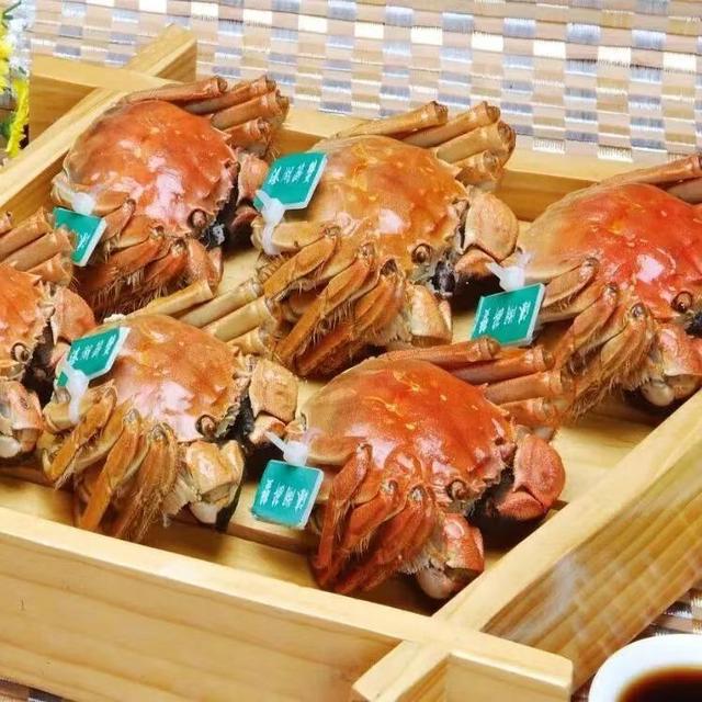 “乘高铁游泰州”，逛吃攻略等您出发