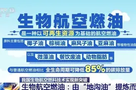新突破！国产商用飞机加注生物航空燃油完成首飞图片