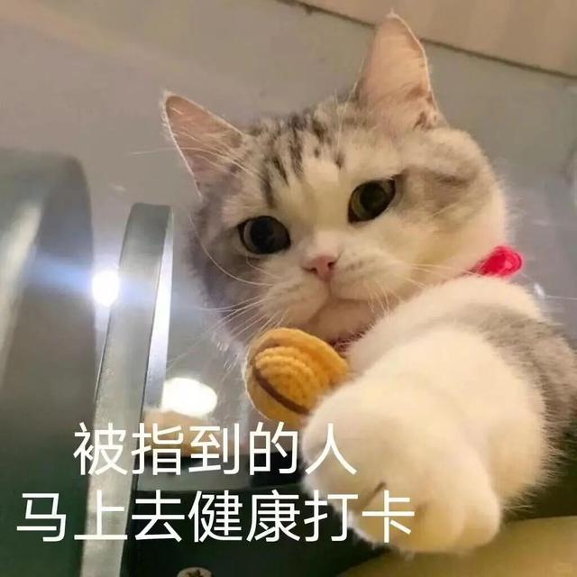 一个让你轻松运动的邪门动作，恢复精力超有效