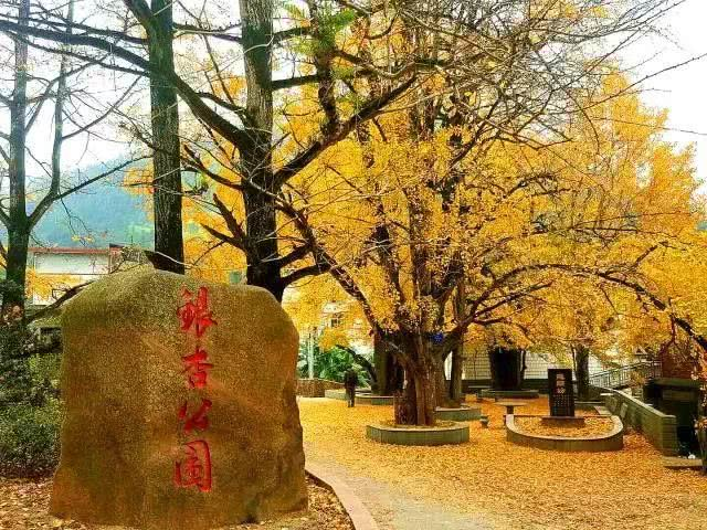 喜欢三明秋天的N个理由，你最喜欢哪个？