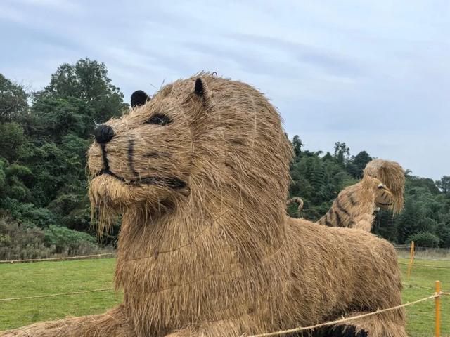 雅安首届巨型稻草人艺术节游玩攻略，打卡不迷路！
