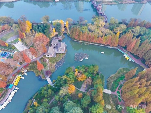 一分钟！我要知道日照这里的所有信息→