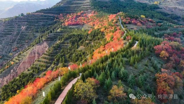 一卷山水，一味乡愁｜辞家千里的漳县儿女，你的行囊里装着整个故乡