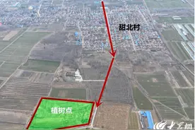 报名通道开启！“践行双碳战略 守护绿水青山”2025德州植树大行动招募中图片