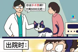 “进一趟宠物医院，两个月工资没了”图片